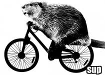 Beaver Bike